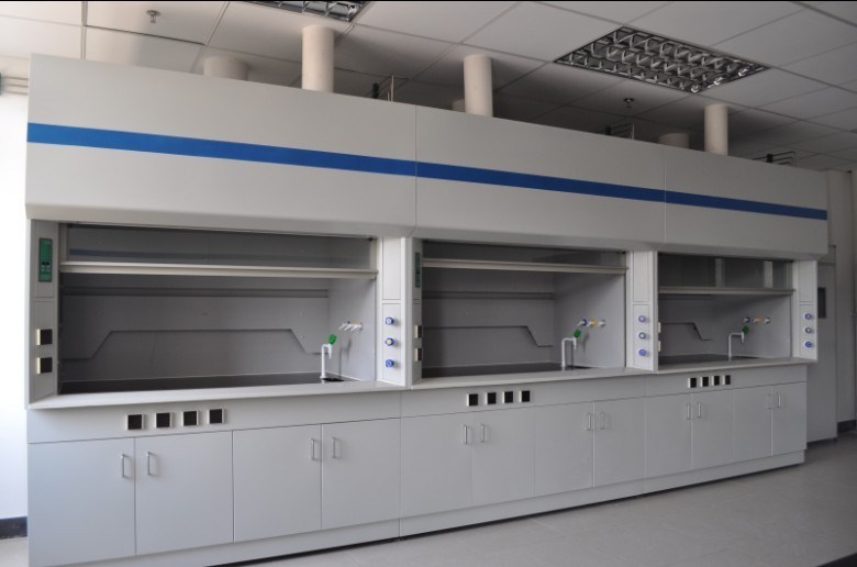 Professional Laboratory Furniture 5 Years Warranty Lab Fume Hood Price