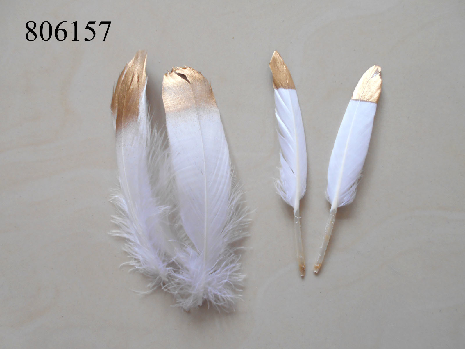 Creative Feather Craft Hobby