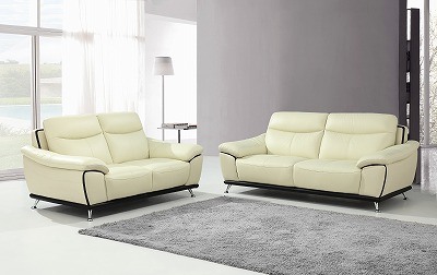 Living Room Genuine Leather Sofa (SBL-9215)