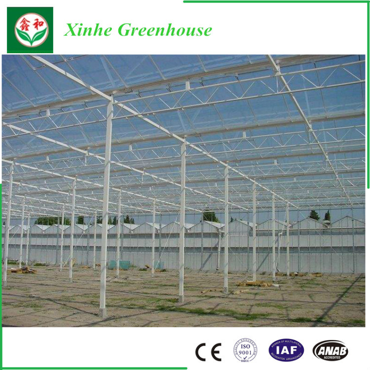 Turn Key Greenhouse for Turkey