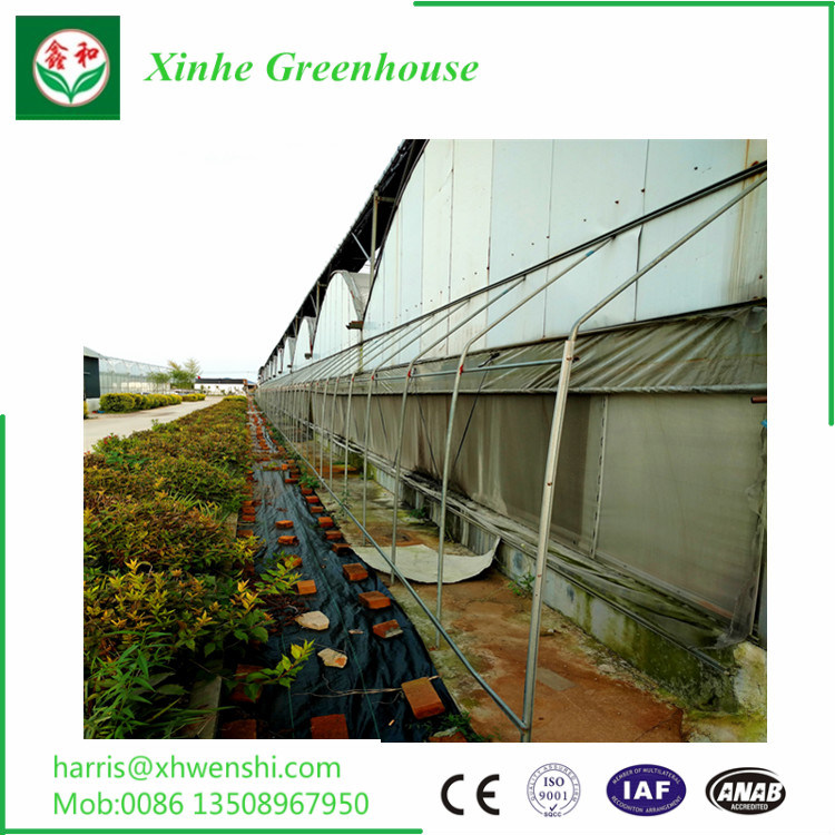 Cheap DIY Plastic Film Garden Greenhouses for Flower and Fruit Planting