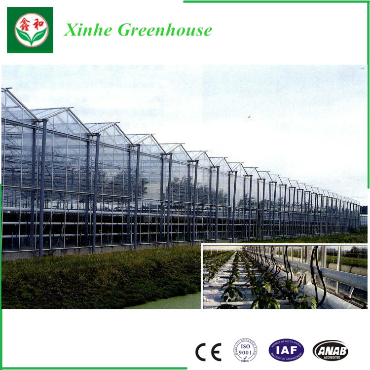 Glass Greenhouse Prefabricated Garden Greenhouses Greenhouse Design Garden Used Greenhouses for Sale