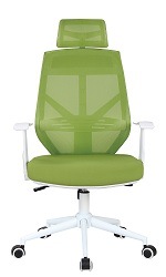 Modern Premium Office Executive or Conference Chair (PS-NL-5066)