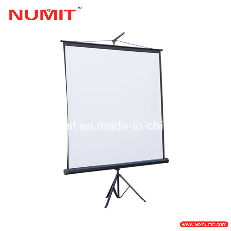 Matte White Tripod Screen with Portable Standing