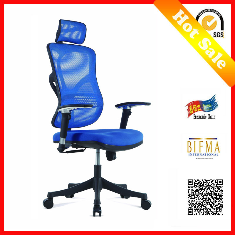 Ergonomic Healthy Ergo Villa Fabric Chair