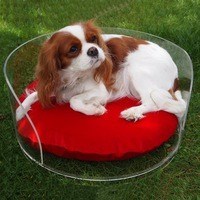 Customized Design Acrylic Cushion Pet Dog Bed