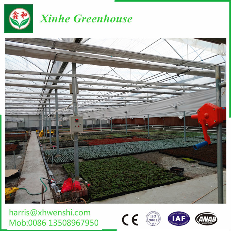 Feelingtop Double Tempered Glazing Aluminum Green House