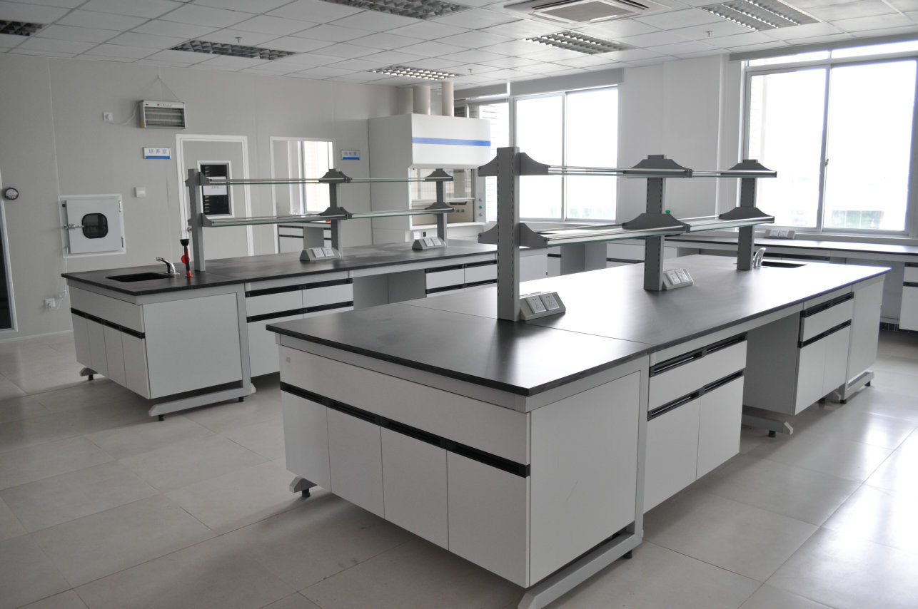 C-Frame Modern Wood and Steel Laboratory Furniture