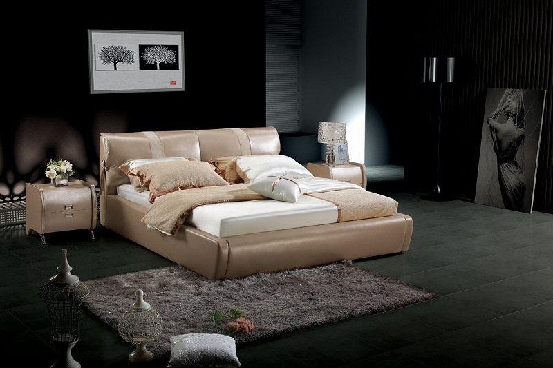 Simple Design Genuine Leather Soft Bed (SBT-5849)