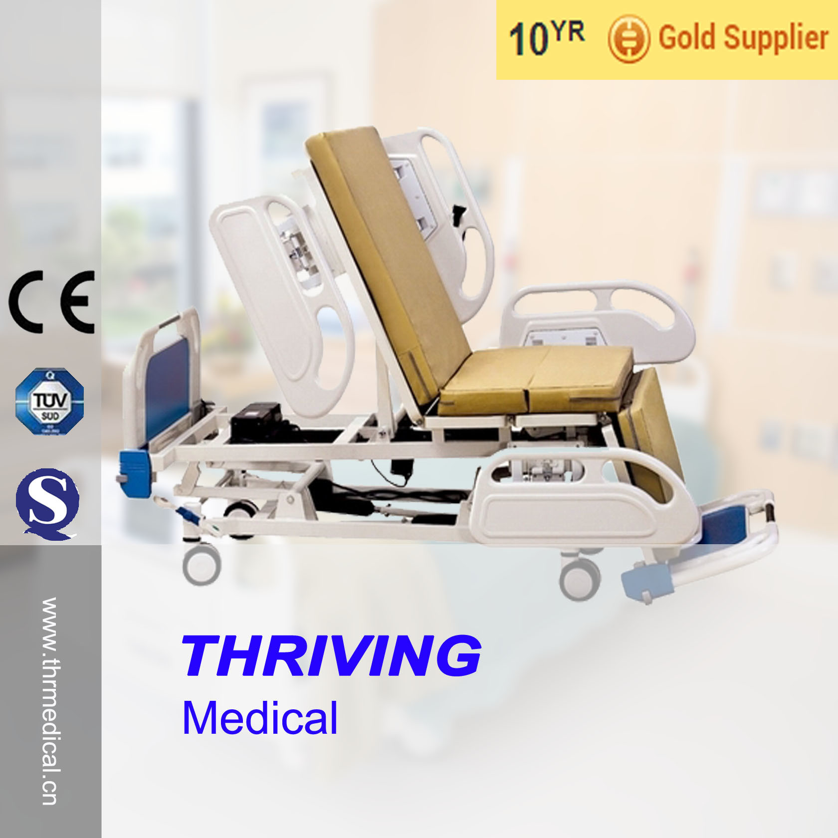 Multi Function Hospital Electric Bed