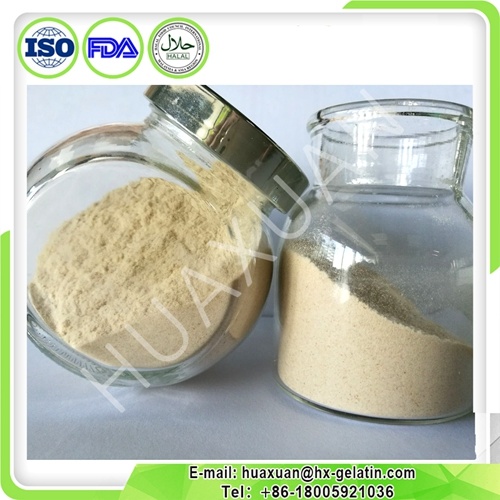 Food Grade Organic Pectin Powder