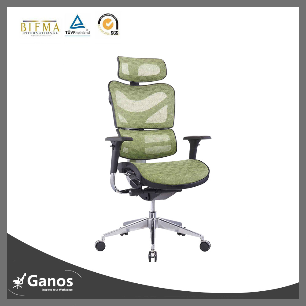 Modern Full Mesh Ergonomic Ball Chairs