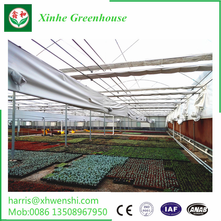 Vegetable Used Plastic-Film Greenhouse for Sale