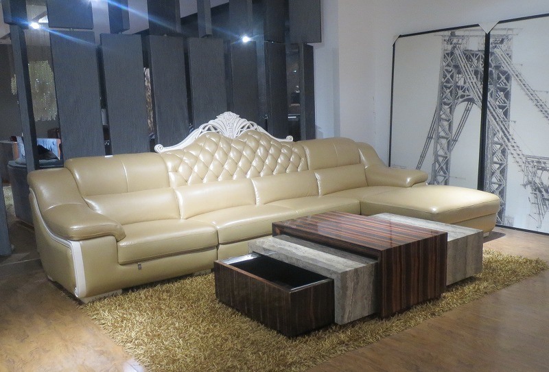 European Style Living Room Genuine Leather Sofa (SBL-9194)