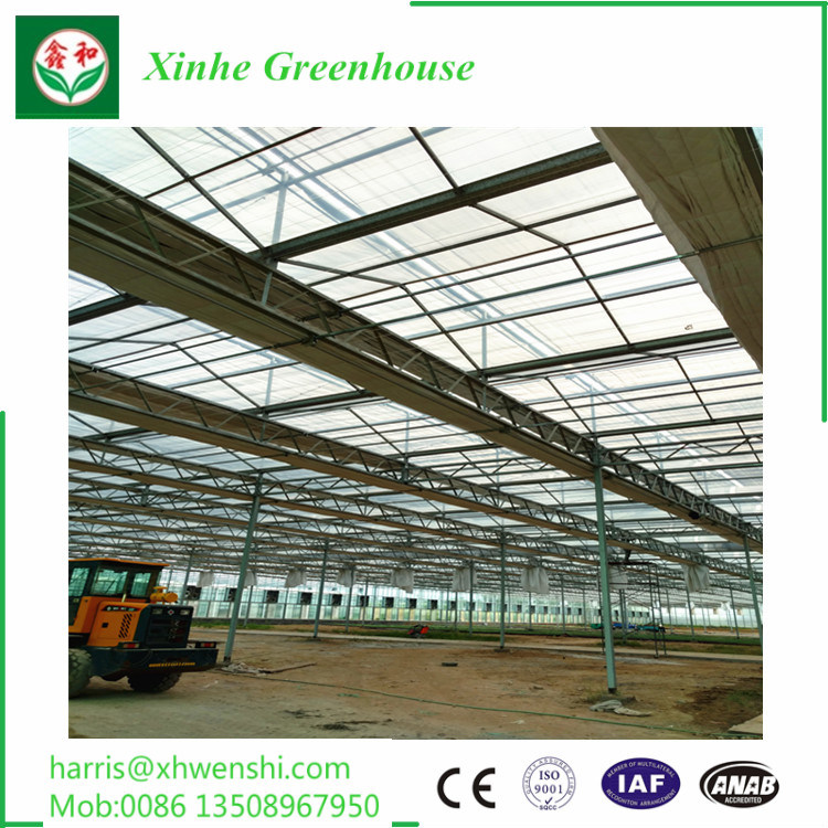 Multi Span Agriculture Plastic Film Vegetable Greenhouse