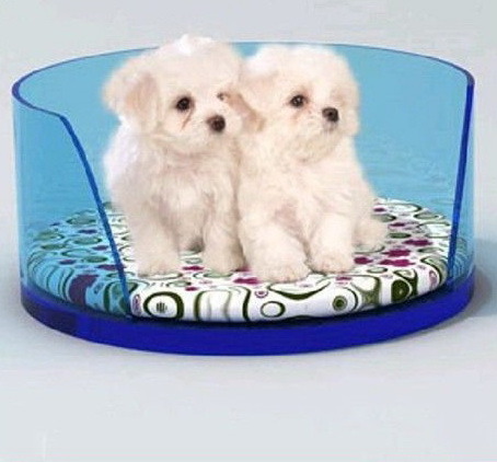 8mm Oval Acrylic Pet Bed, Plastic Animal Beds for Dog, Cat