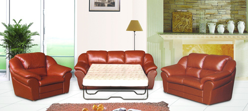 Modern Sofa Bed for Home (285#)