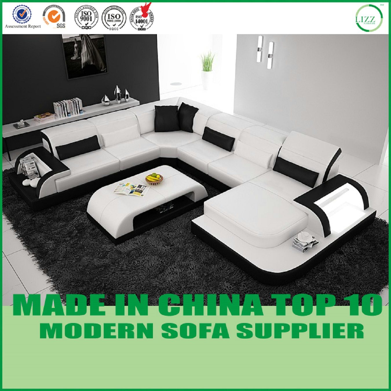 New Design Modern Leather Sofa