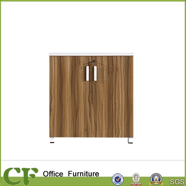 Office Wall Mounted Wood Cupboard Design Filing Cabinet From China