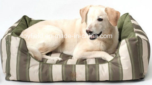 Pet Bed Products Supply Accessories Cat Dog Bed