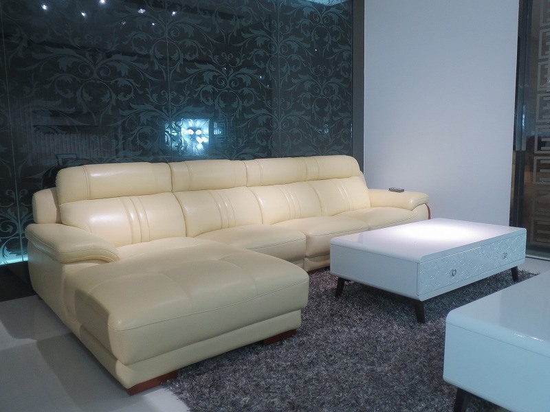 Living Room Sectional Genuine Leather Sofa (SBL-9190)