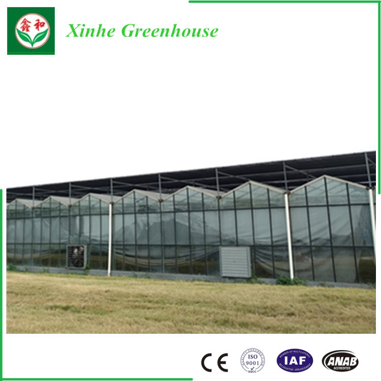 Vegetables/Garden/Flowers/Farm Glass Greenhouse