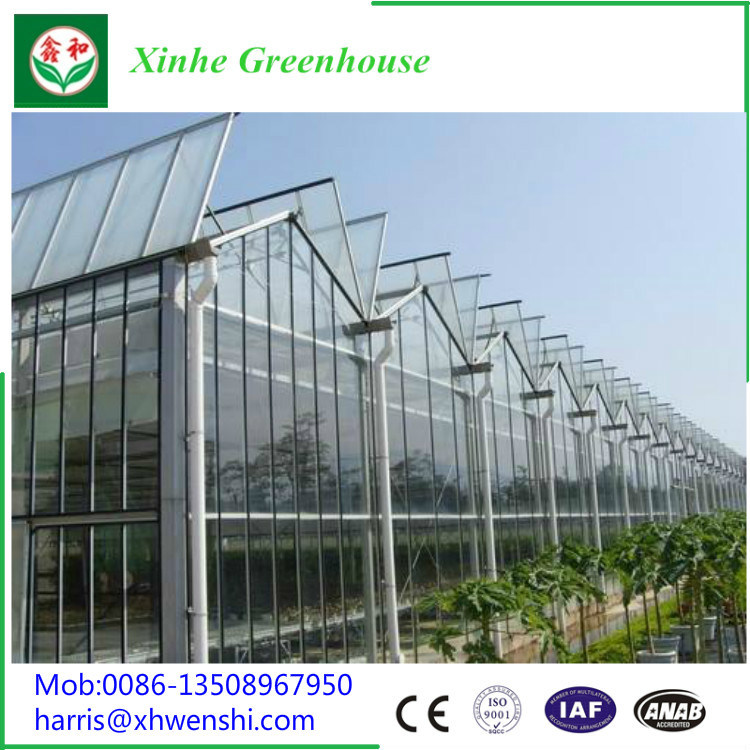 Fish Greenhouse