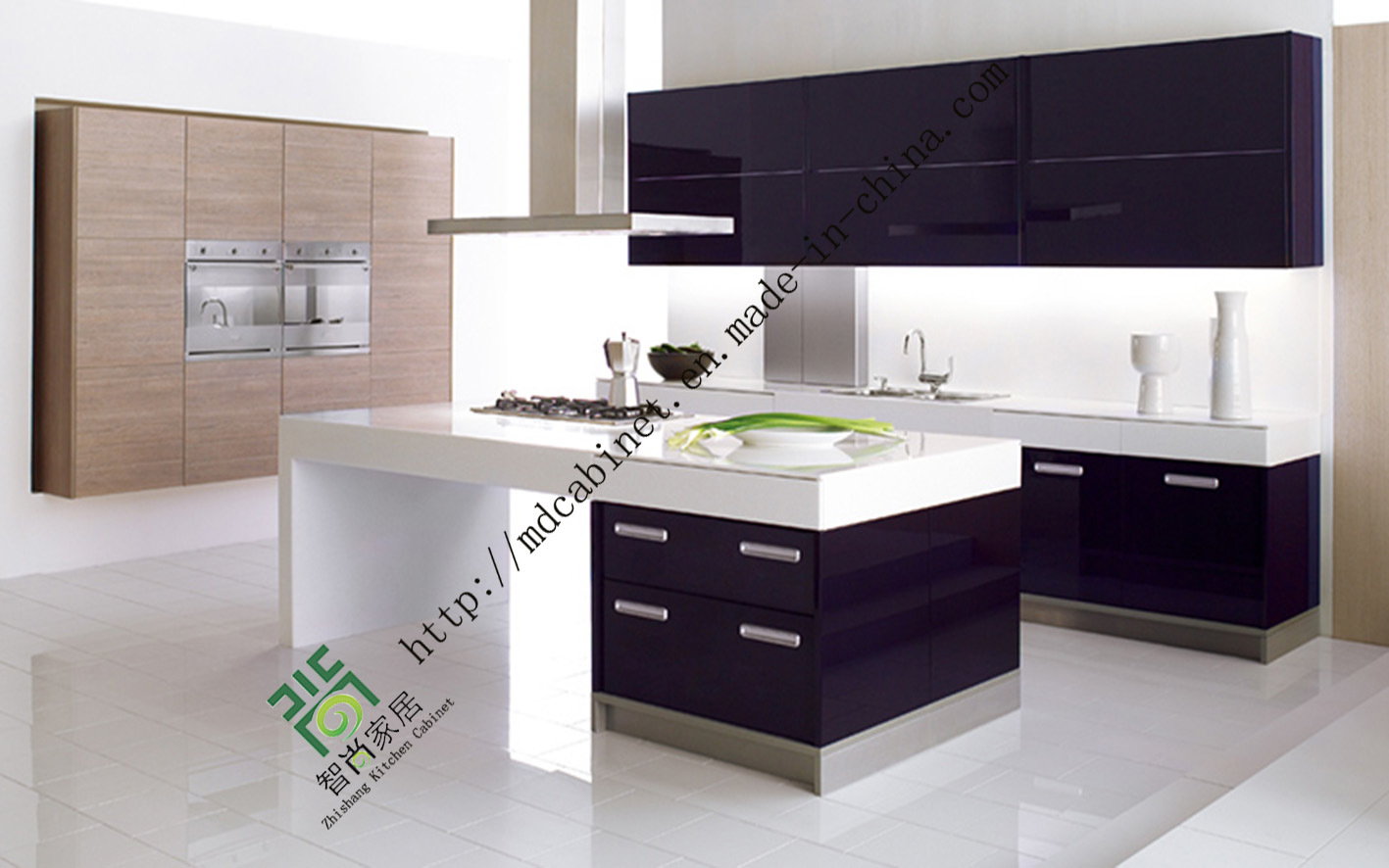 Champagne Lacquer Modern Kitchen Cabinets (zs-216)