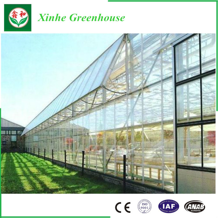 Galvanized Steel Structure Glass Cover Used Commercial Greenhouses