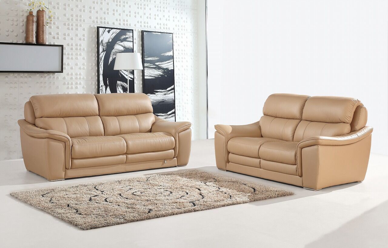 Modern Furniture Top Leather Sofa (SBL-9221)