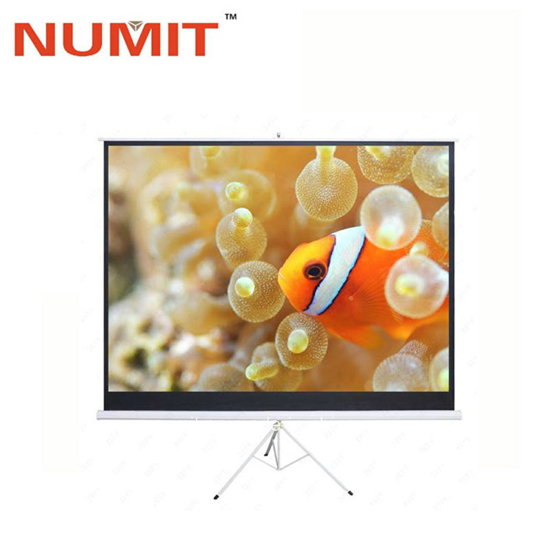 Matte White Movie Theater Tripod Screen