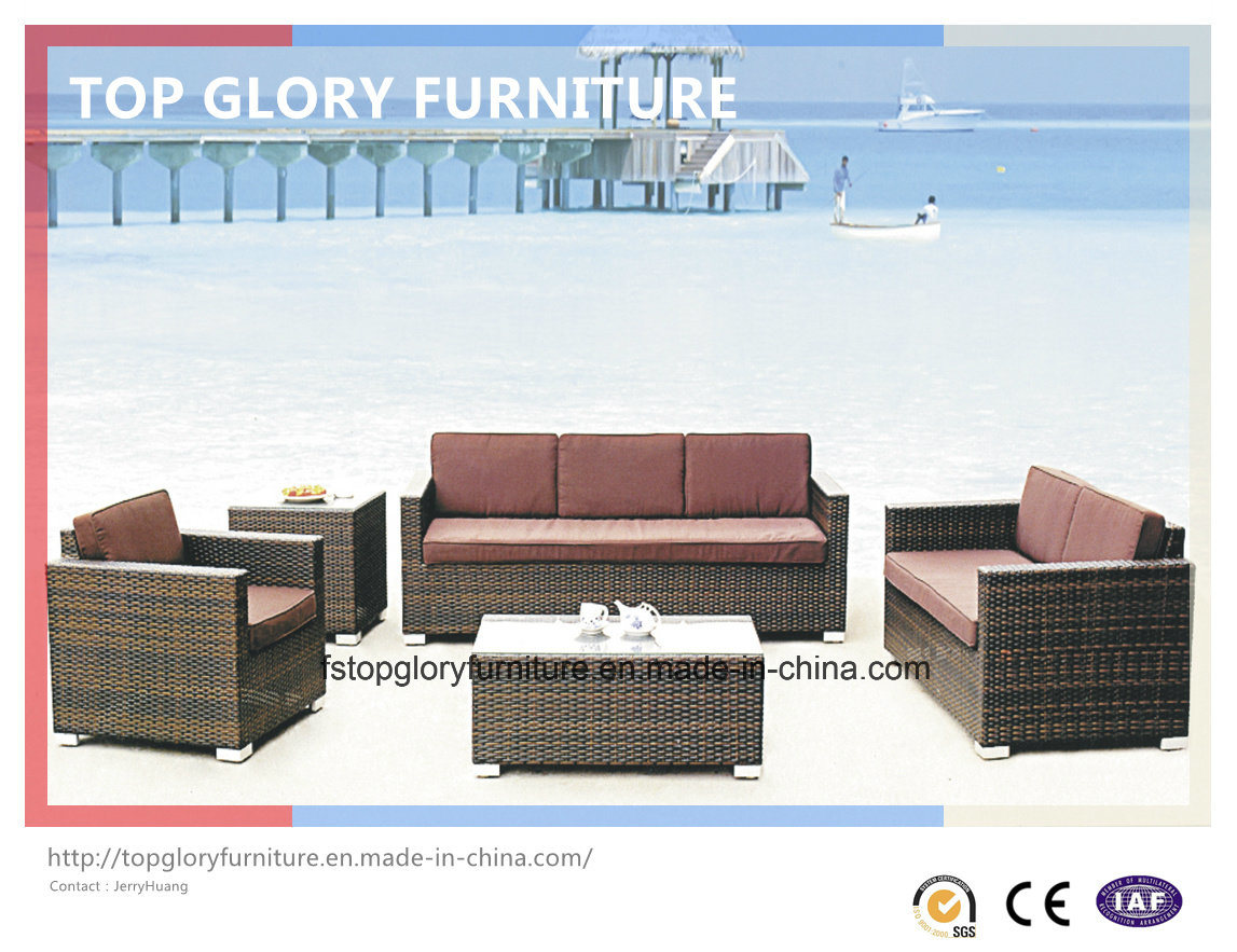 Garden Furniture Outdoor PE Rattan Furniture Garden Sofa (TG-036)