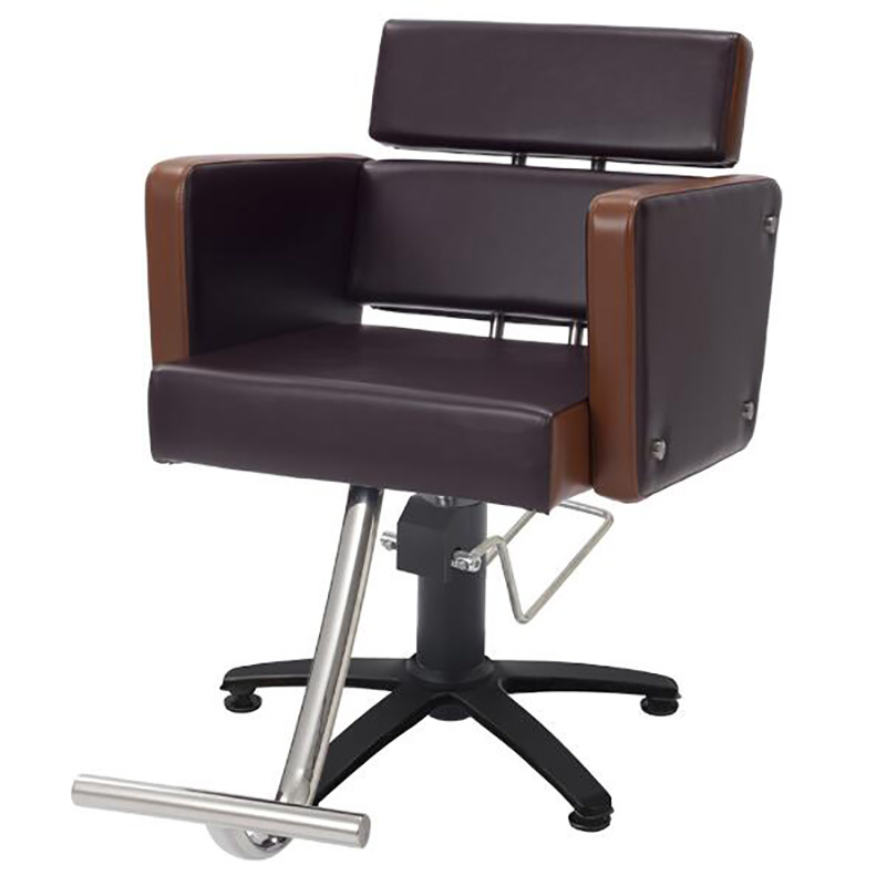 Fashion Styling Chair Salon Barber Styling Chair for Sale