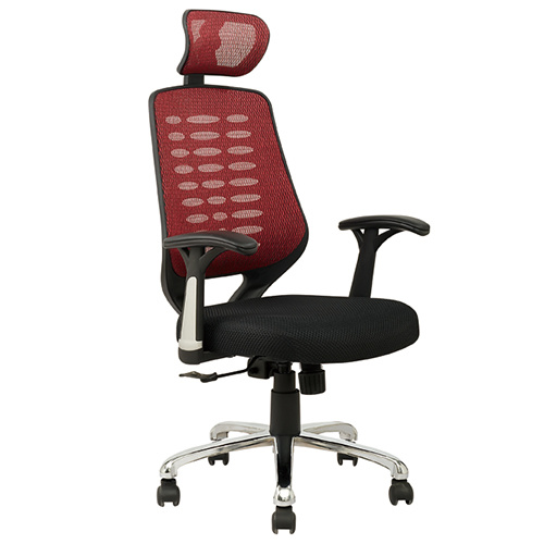 Office Furniture Ergonomic Director Mesh Nylon Computer Chair (Fs-801)