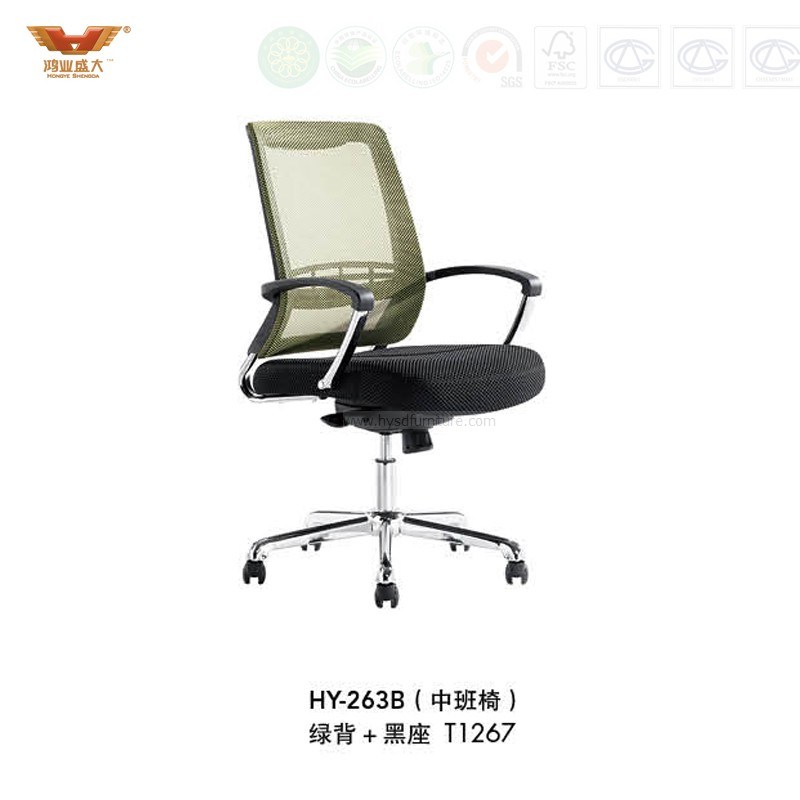 Conference Ergonomic Low Back Swivel Mesh Staff Chair (HY-263B)