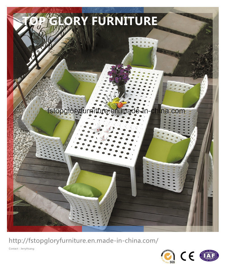 Modern Patio Rattan Dining Furniture Set (TG-1617)