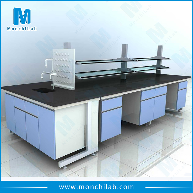 Steel and Wood Chemical Laboratory Furniture