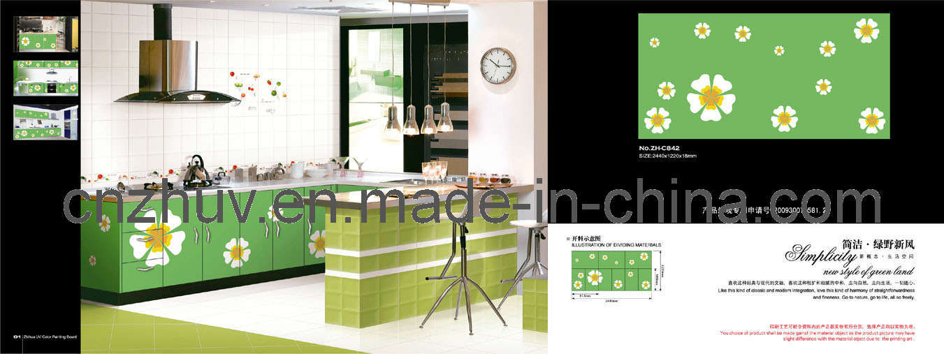 Modular Acrylic Kitchen Cabinet With UV Color Painting Panel for Cupboard (ZH-C842)