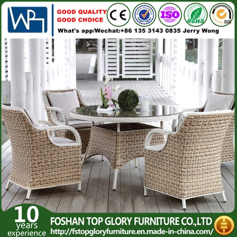 Dining Table Outdoor Furniture PE Rattan Furniture Set (TG-1653)