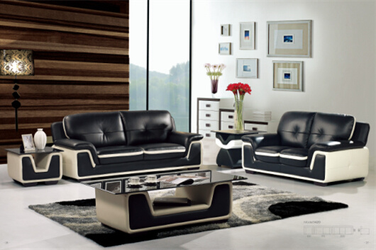 Modern Leather Sofa with Genuine Leather Couches