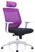 Office Chair Executive Manager Chair (PS-1503-a)