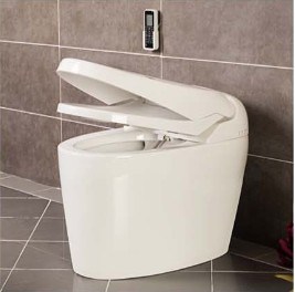 Hot Selling Luxury Intelligent Toilet (W1509)