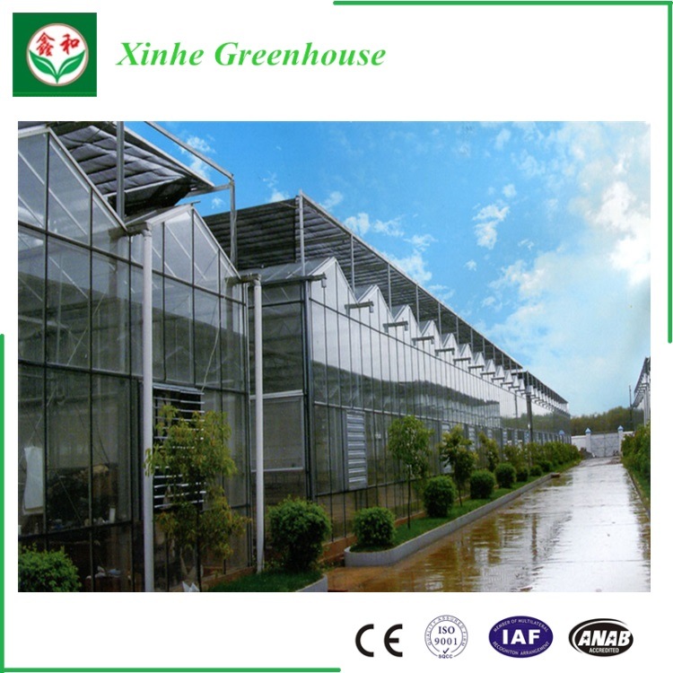 Agriculture Polycarbonate Greenhouse for Vegetable