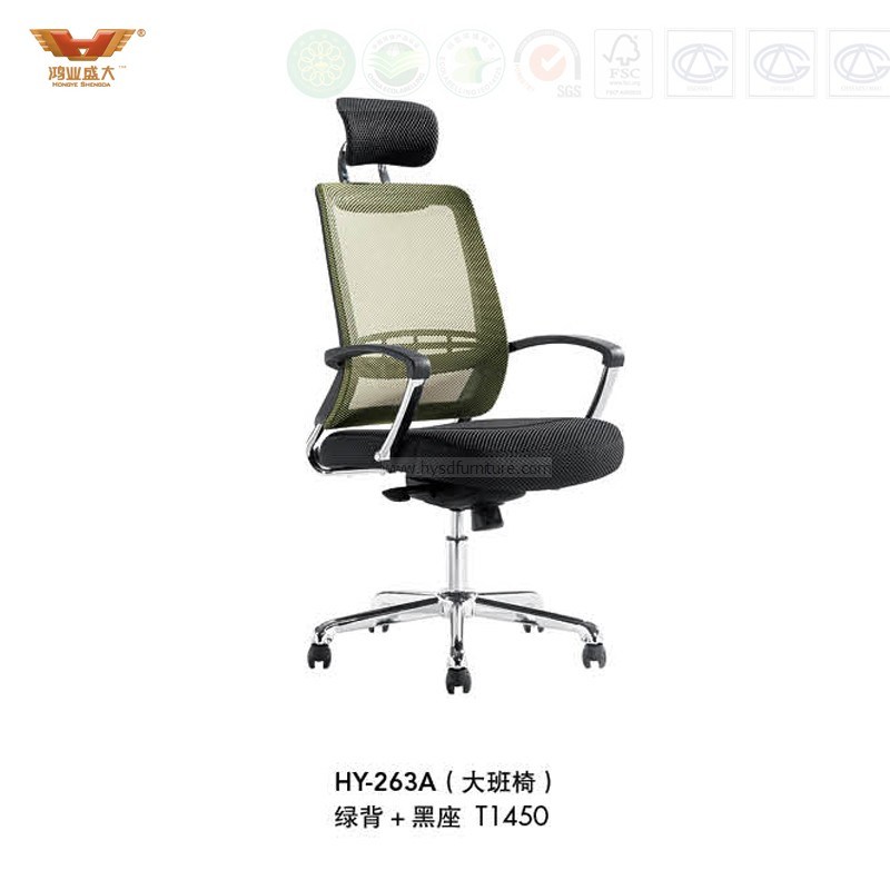 Leisure Ergonomic High Back Customized Mesh Office Chair with Headrest (HY-263A)