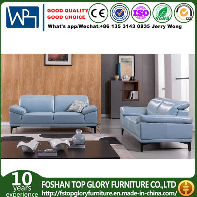 Simple Designs Livingroom Modern Sofa for Home Use (TG-S215)