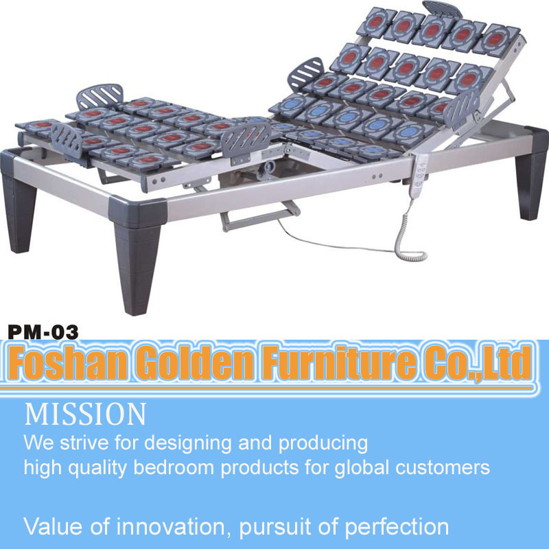 Adjustable Electric Medical Bed (PM-03#)