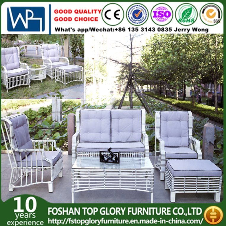 Garden Outdoor Furniture Sofa Set PE Rattan Sofa (TG-014)