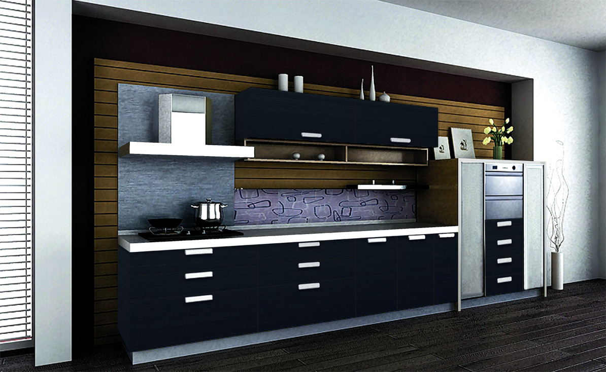 Home Furniture Modular Kitchen Cabinets (ZH-9623)