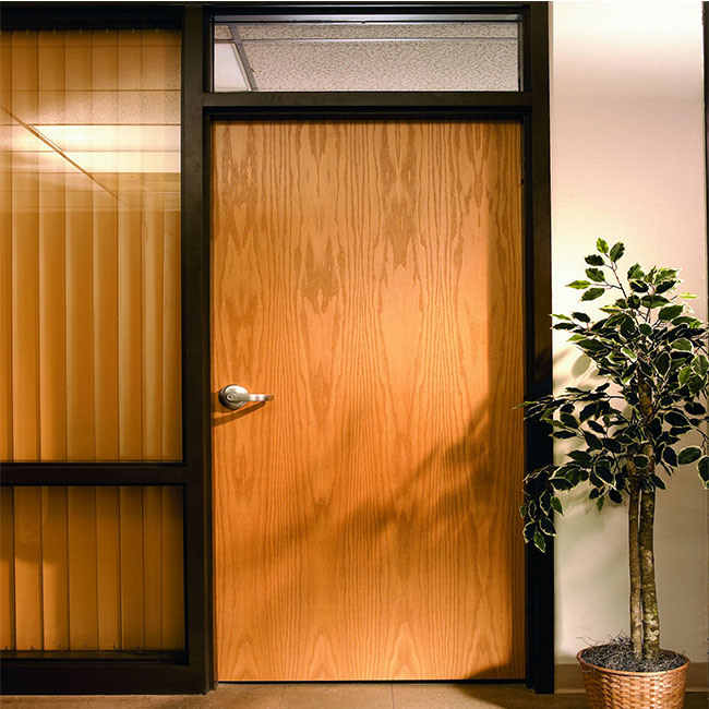 Office Building Door, Model Interior Door, Apartment Fire Rated Door