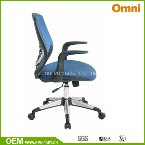 Omni Hight Quality Good Price Executive Office Chair (OMNI-OC-119K)